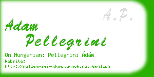 adam pellegrini business card