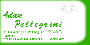 adam pellegrini business card